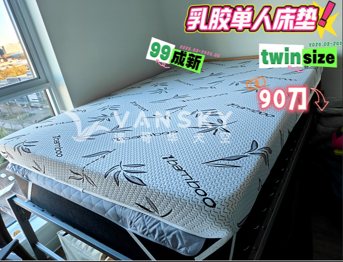 250426223526_bandicam 2025-04-24 17-15-37-435.jpg